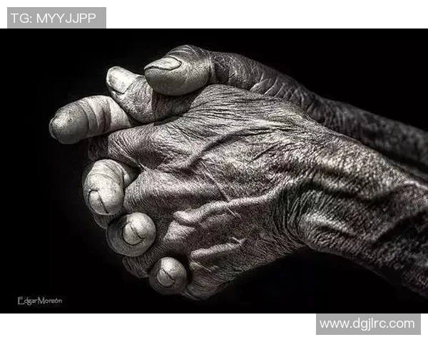 叶林娜的成长之路：从平凡到卓越的奋斗故事与人生启示