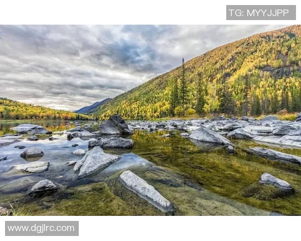探索阿拉巴的历史与文化魅力，揭开这片土地的神秘面纱与独特风情