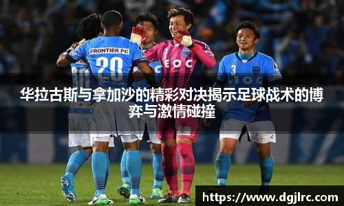 28圈新版本